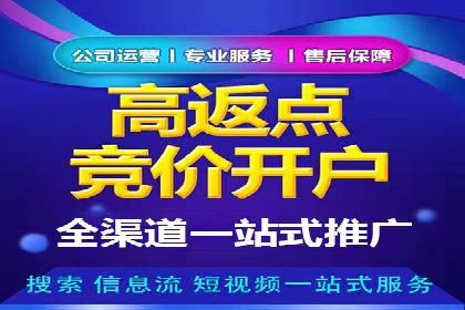 行业领先企业的SEM广告投放策略案例